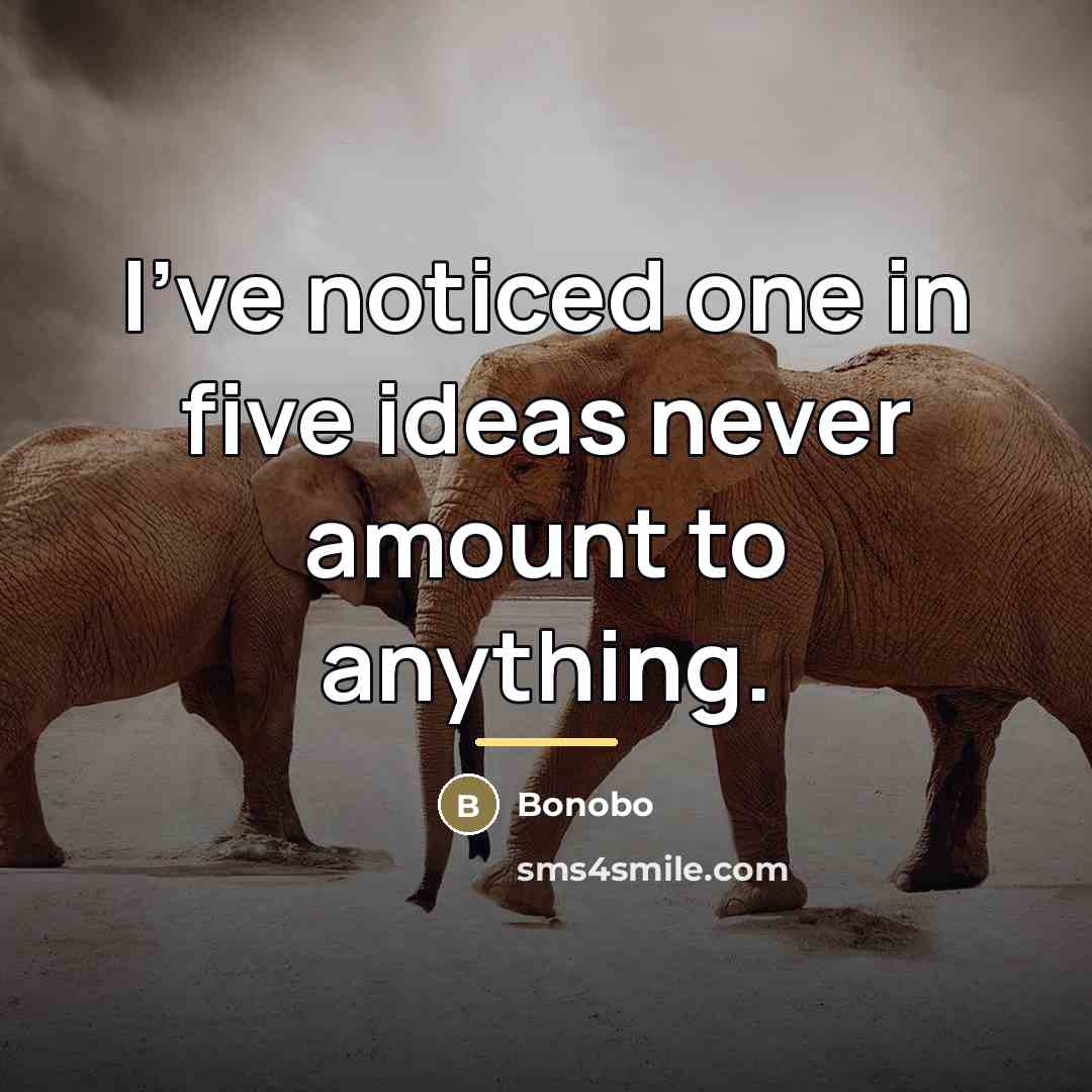 “I've noticed one in five ideas never amount to anything.…” quote by Bonobo