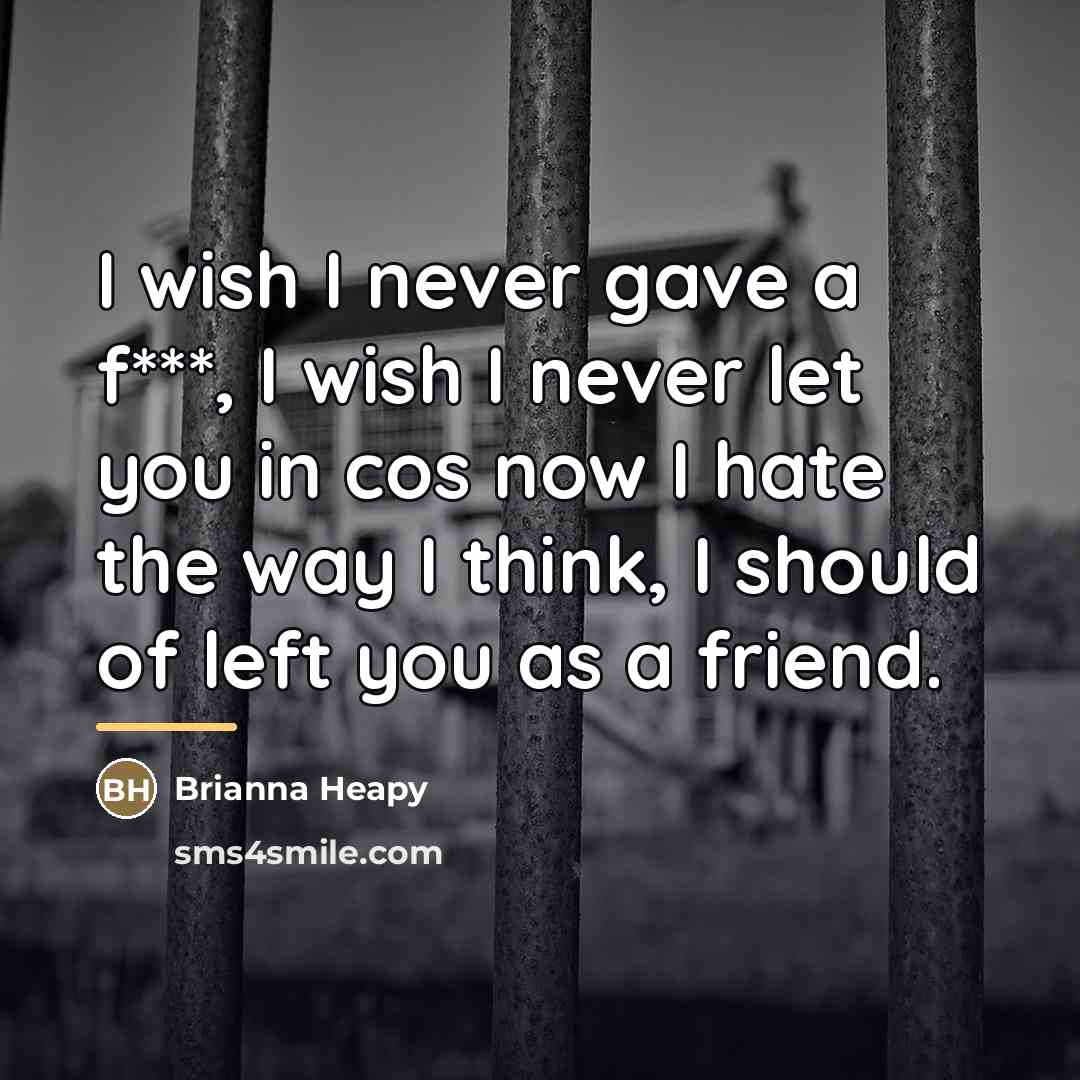 “I wish I never gave a f***, I wish I…” quote by Brianna Heapy