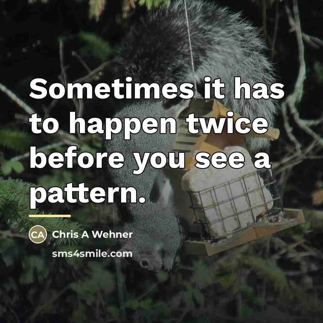 “Sometimes it has to happen twice before you see a…” quote by Chris A Wehner