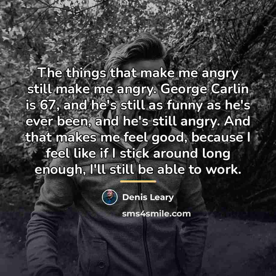 “The things that make me angry still make me angry.…” quote by Denis Leary