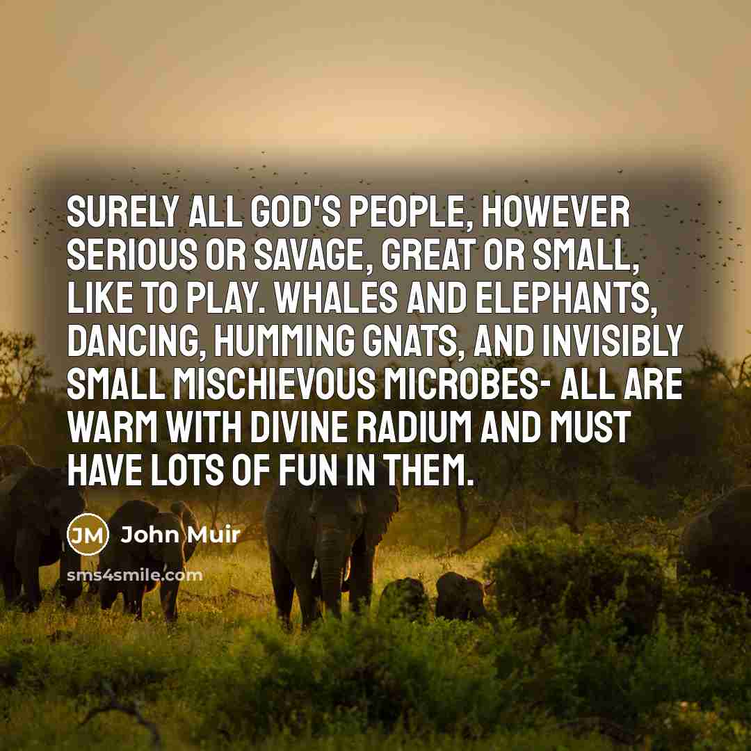“Surely all God's people, however serious or savage, great or…” quote by John Muir