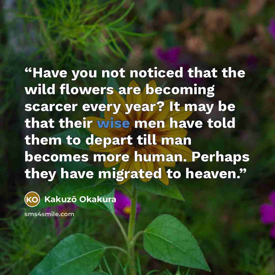 “Have you not noticed that the wild flowers are becoming scarcer every year? It may be that their wise men have told them to depart till man becomes more human. Perhaps they have migrated to heaven.” quote by Kakuzō Okakura