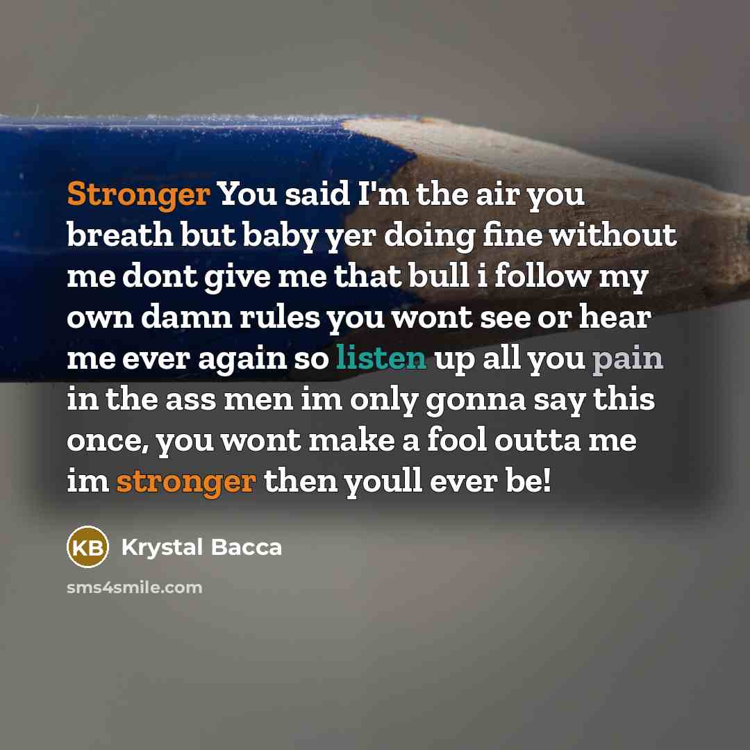 “Stronger You said I'm the air you breath but baby yer doing fine without me dont give me that bull i follow my own damn rules you wont see or hear me ever again so listen up all you pain in the ass men im only gonna say this once, you wont make a fool outta me im stronger then youll ever be!” quote by Krystal Bacca