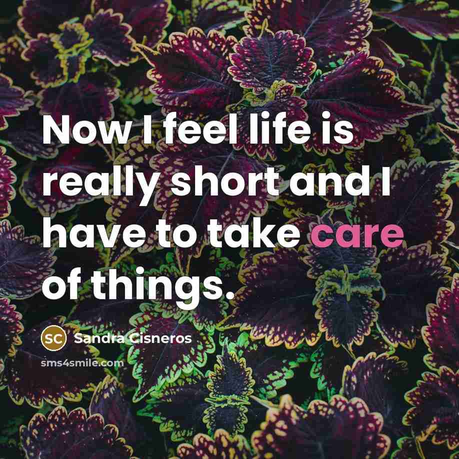“Now I feel life is really short and I have…” quote by Sandra Cisneros