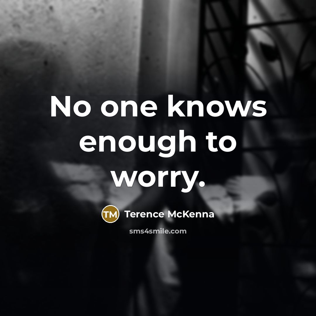 “No one knows enough to worry.…” quote by Terence McKenna
