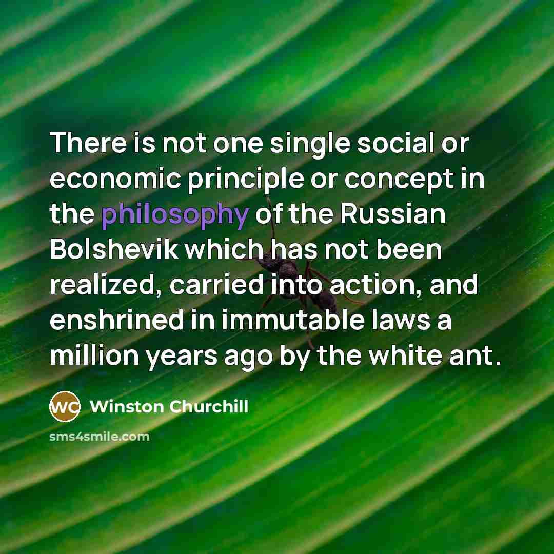 “There is not one single social or economic principle or…” quote by Winston Churchill