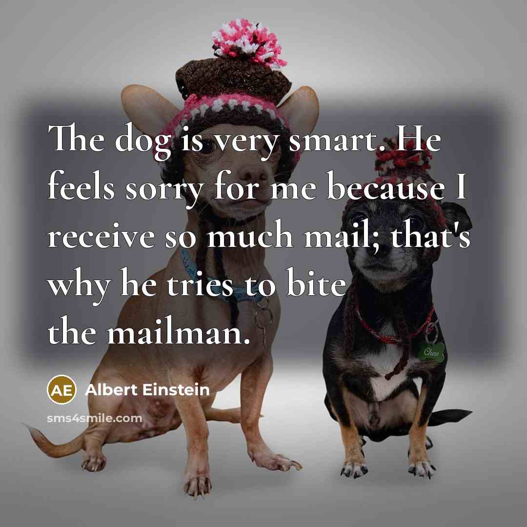 “The dog is very smart. He feels sorry for me because I receive so much mail; that's why he tries to bite the mailman.” quote by Albert Einstein