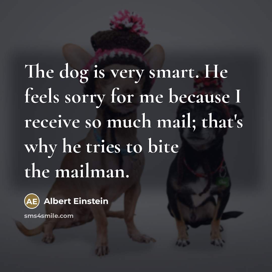 “The dog is very smart. He feels sorry for me…” quote by Albert Einstein