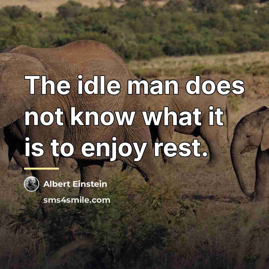 “The idle man does not know what it is to…” quote by Albert Einstein