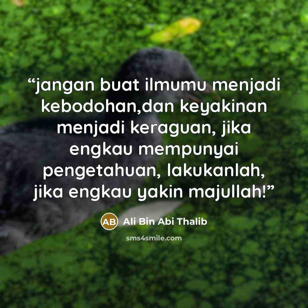 “jangan buat ilmumu menjadi kebodohan,dan keyakinan menjadi keraguan, jika engkau mempunyai pengetahuan, lakukanlah, jika engkau yakin majullah!” quote by Ali Bin Abi Thalib