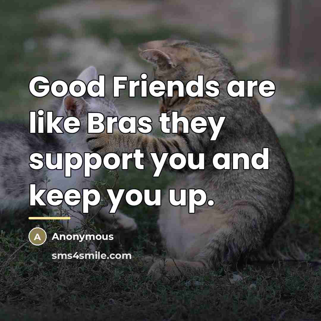 “Good Friends are like Bras they support you and keep…” quote by Anonymous