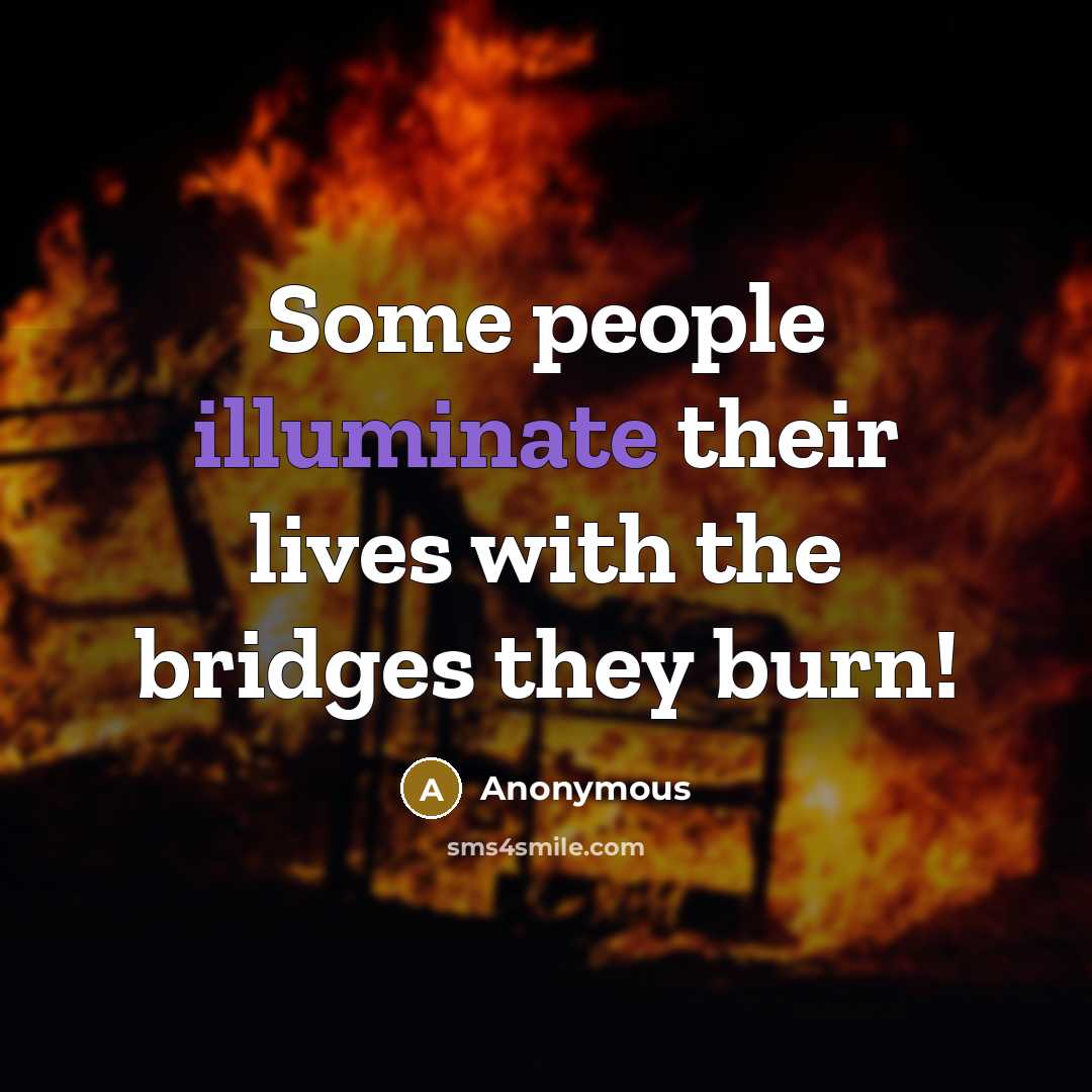 “Some people illuminate their lives with the bridges they burn!…” quote by Anonymous
