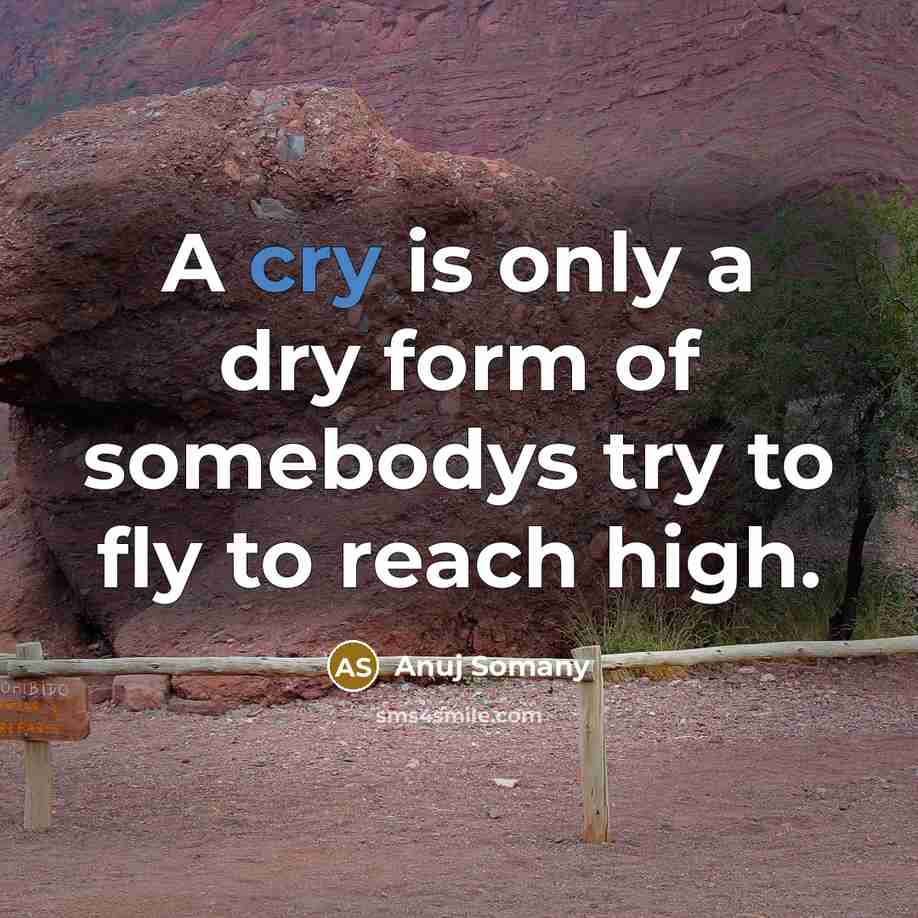“A cry is only a dry form of somebodys try…” quote by Anuj Somany