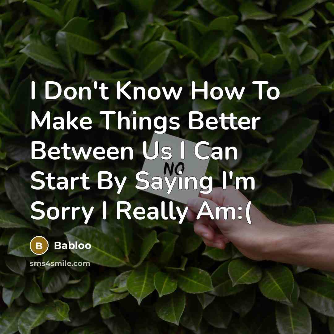 “I Don't Know How To Make Things Better Between Us…” quote by Babloo