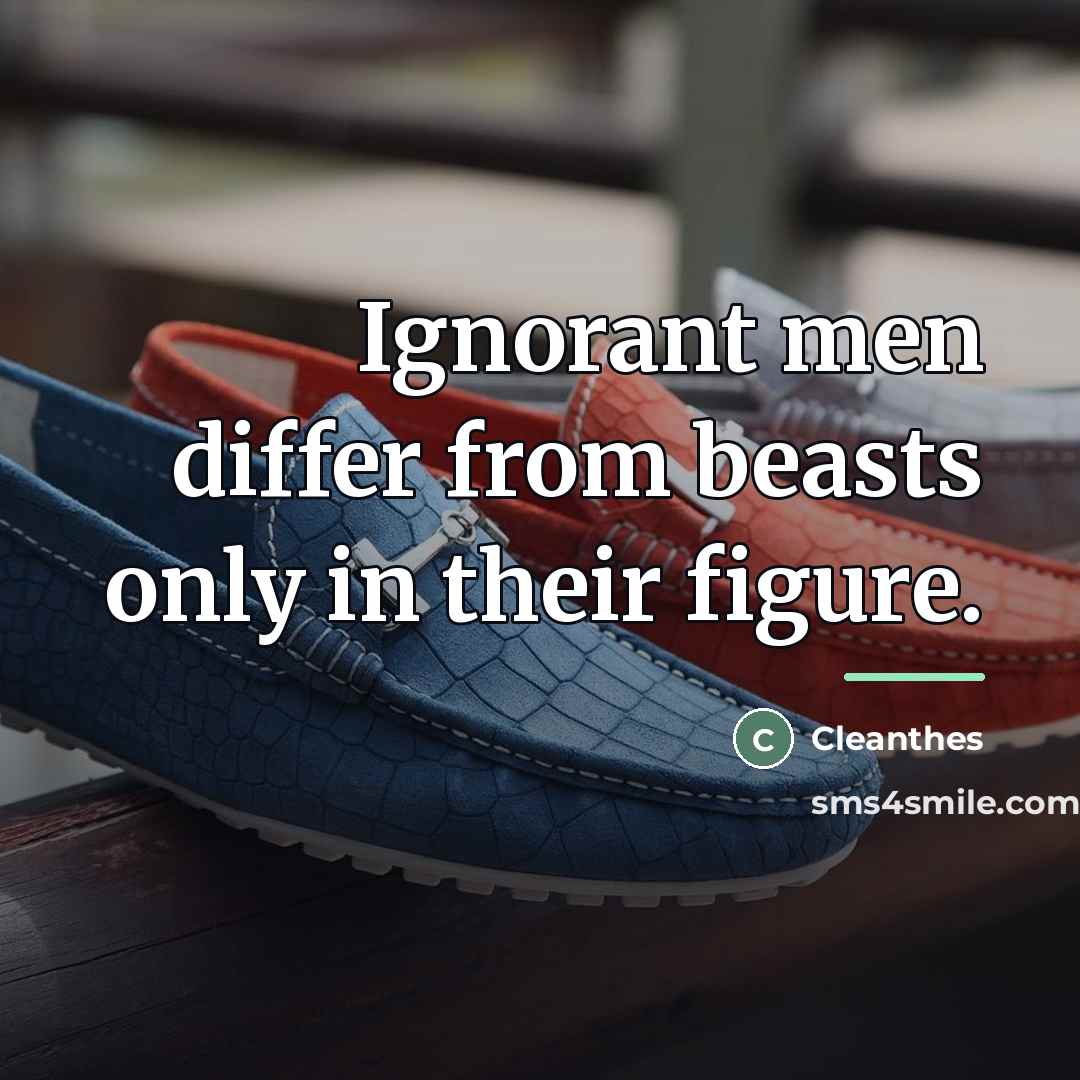 “Ignorant men differ from beasts only in their figure.…” quote by Cleanthes