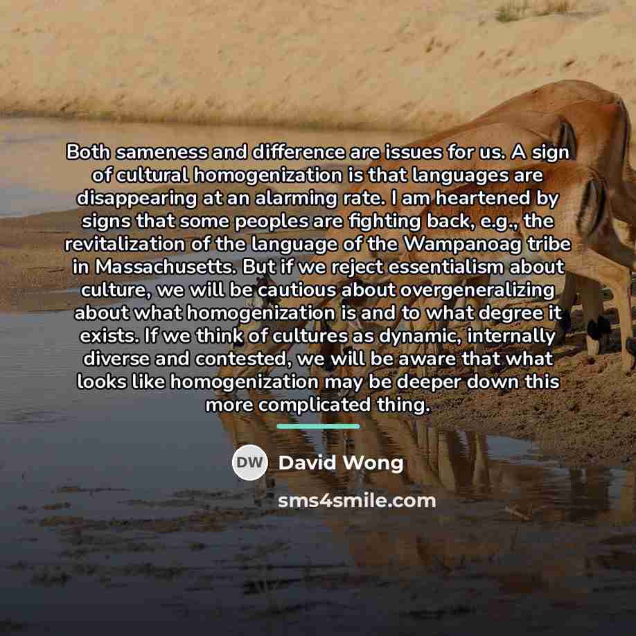 “Both sameness and difference are issues for us. A sign…” quote by David Wong