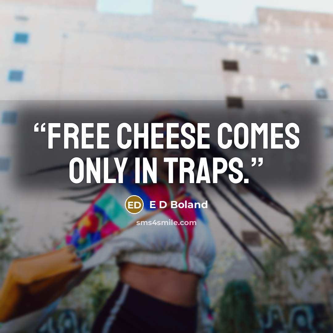 “Free cheese comes only in traps.” quote by E D Boland