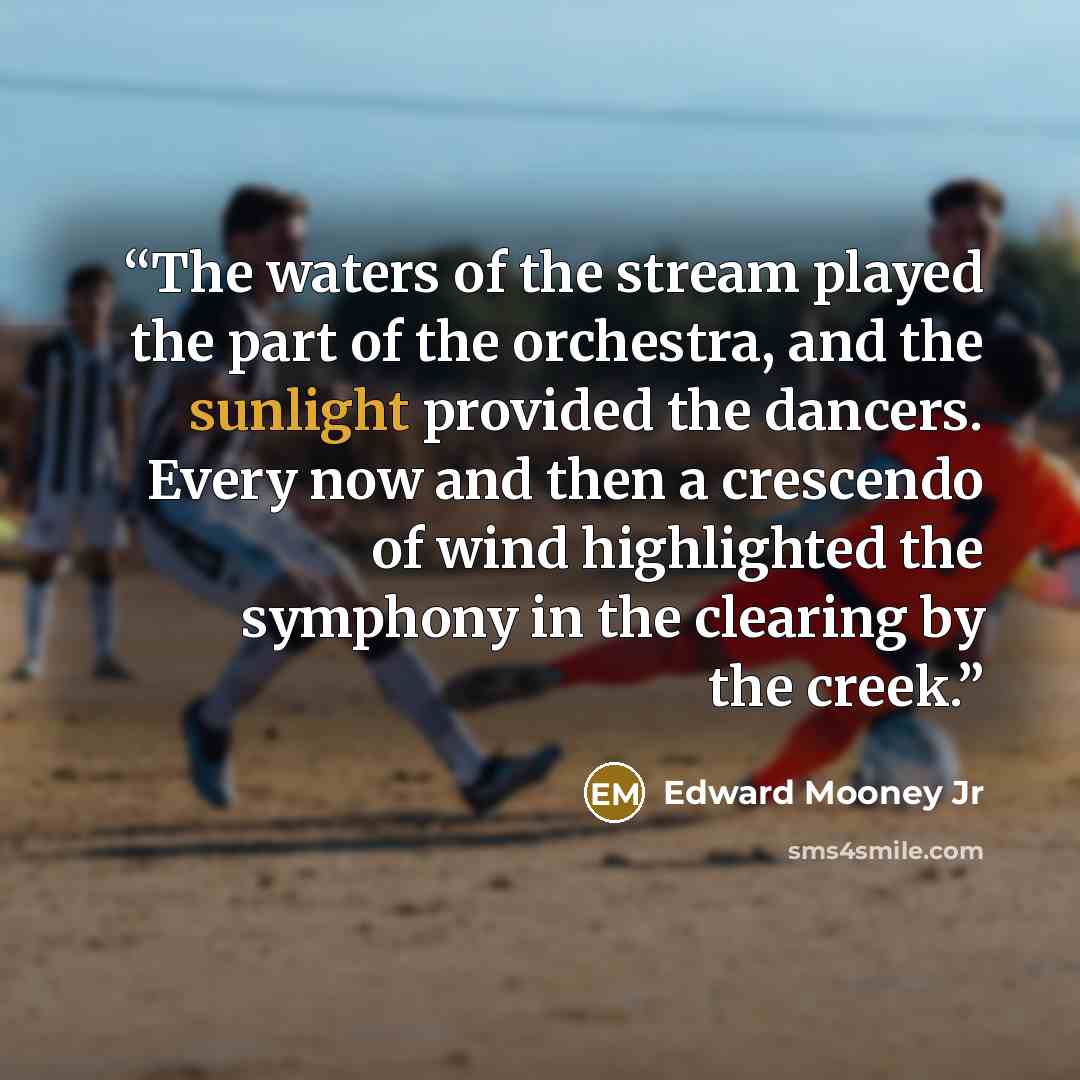 “The waters of the stream played the part of the orchestra, and the sunlight provided the dancers. Every now and then a crescendo of wind highlighted the symphony in the clearing by the creek.” quote by Edward Mooney Jr