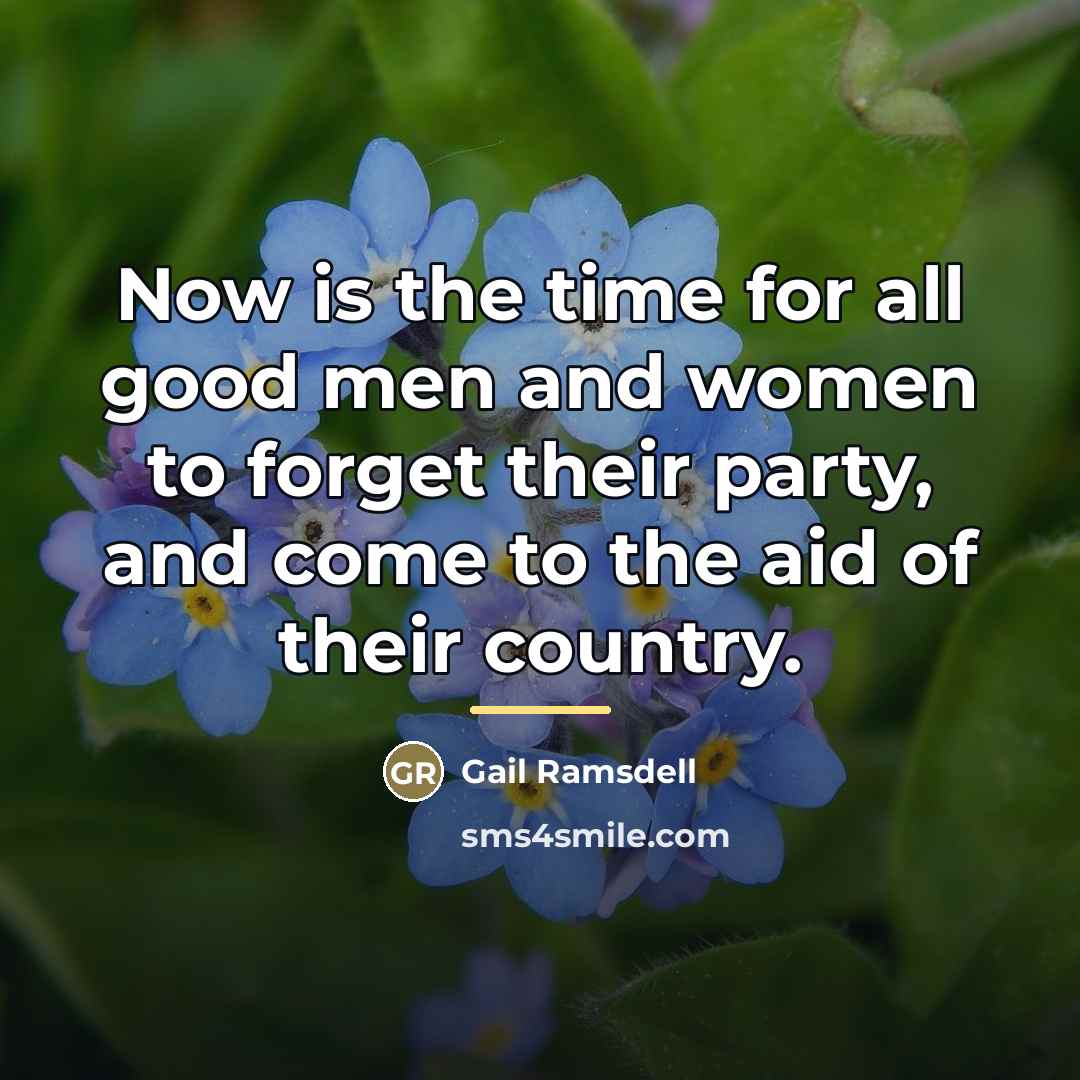 “Now is the time for all good men and women…” quote by Gail Ramsdell