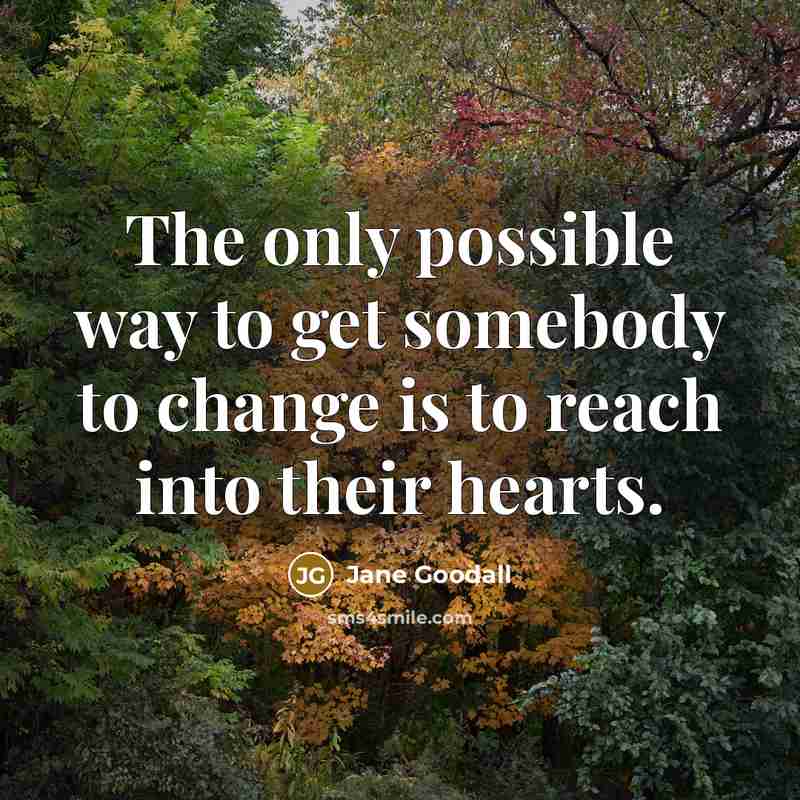“The only possible way to get somebody to change is to reach into their hearts.” quote by Jane Goodall
