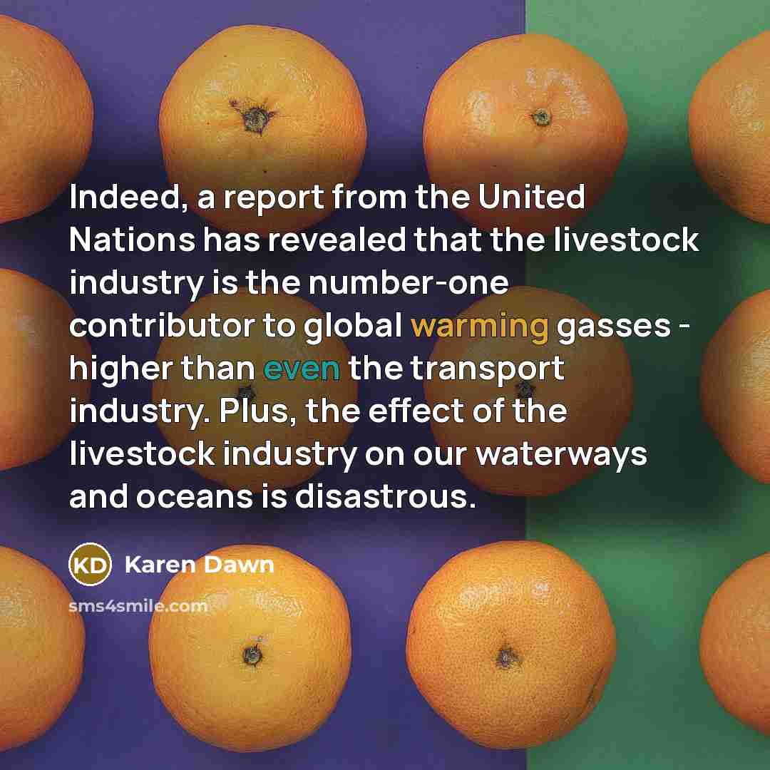 “Indeed, a report from the United Nations has revealed that…” quote by Karen Dawn