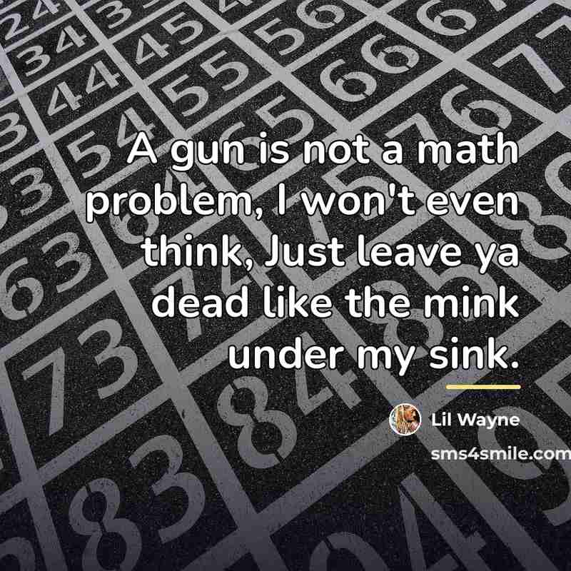 “A gun is not a math problem, I won't even…” quote by Lil Wayne