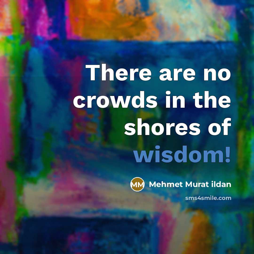 “There are no crowds in the shores of wisdom!…” quote by Mehmet Murat Ildan