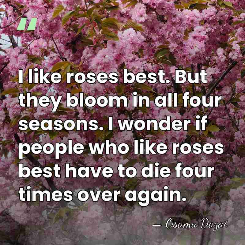 I like roses best. But they bloom in all four seasons. I&hellip; - Osamu Dazai