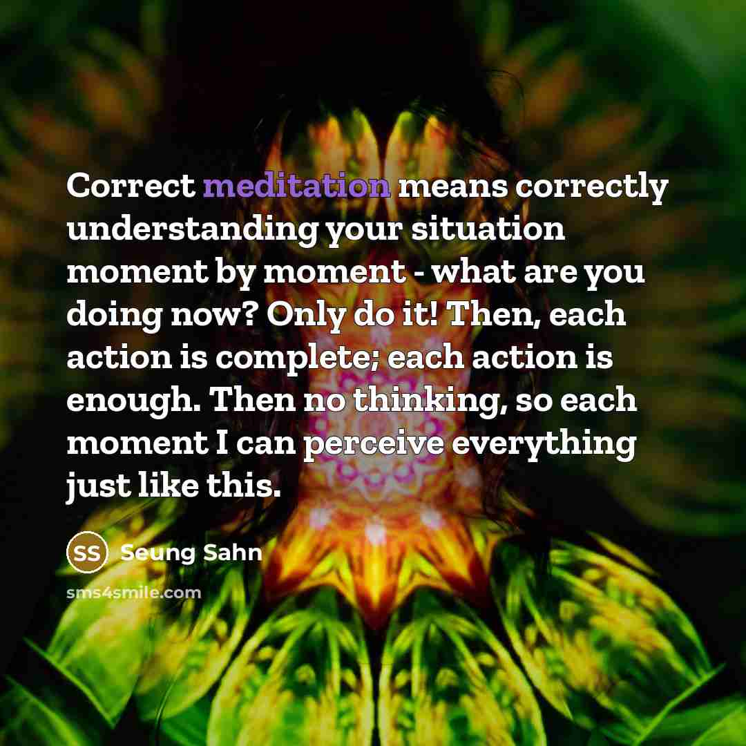 “Correct meditation means correctly understanding your situation moment by moment…” quote by Seung Sahn
