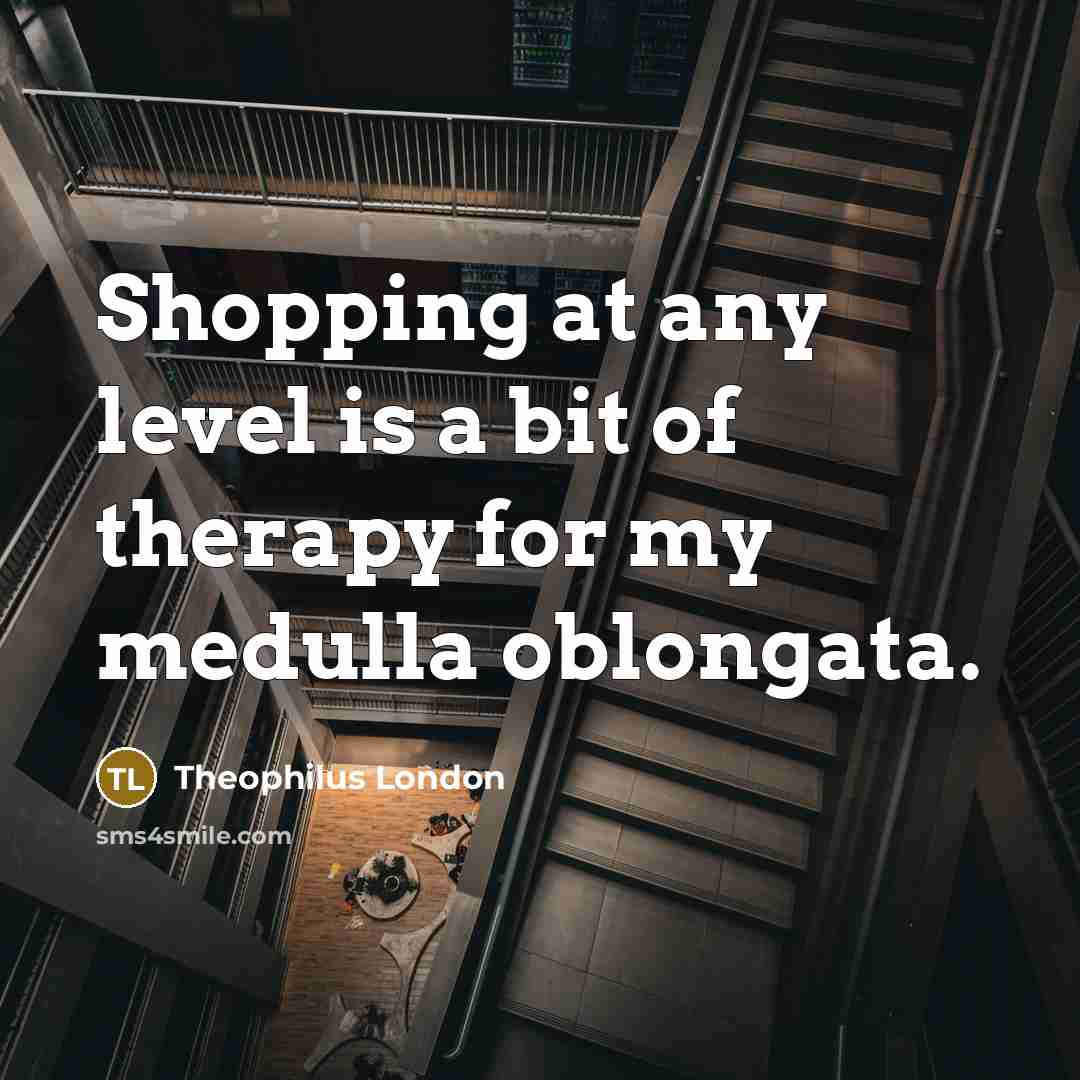 “Shopping at any level is a bit of therapy for…” quote by Theophilus London