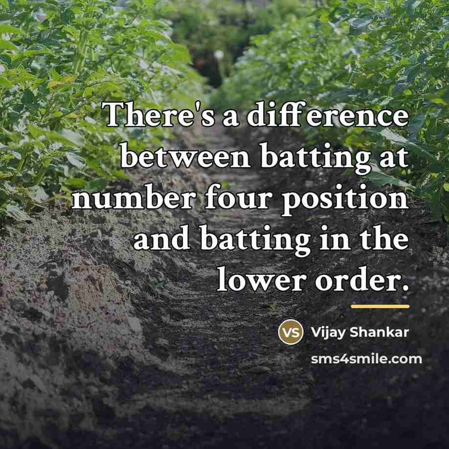 “There's a difference between batting at number four position and…” quote by Vijay Shankar
