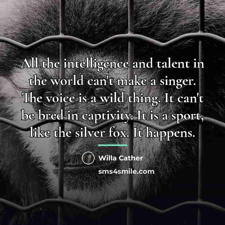 “All the intelligence and talent in the world can't make…” quote by Willa Cather
