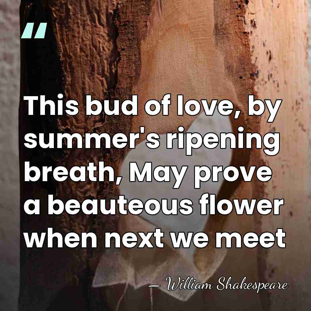 This bud of love, by summer's ripening breath, May prove a beauteous&hellip; - William Shakespeare