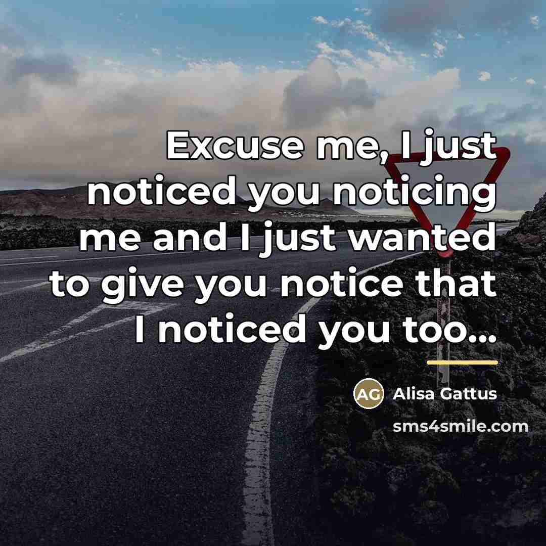 “Excuse me, I just noticed you noticing me and I…” quote by Alisa Gattus