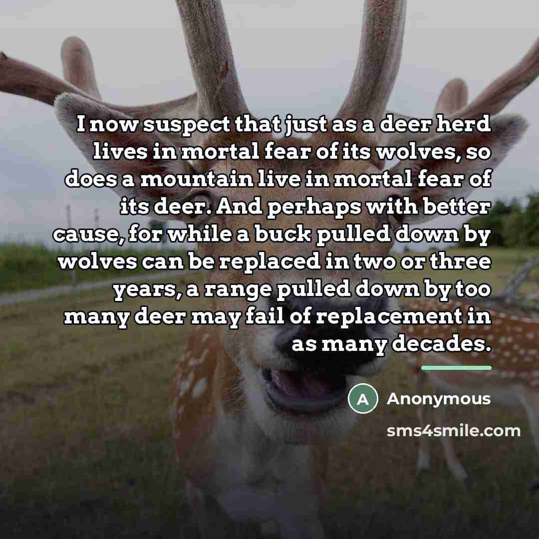 “I now suspect that just as a deer herd lives…” quote by Anonymous