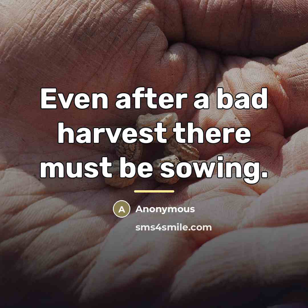 “Even after a bad harvest there must be sowing.…” quote by Anonymous