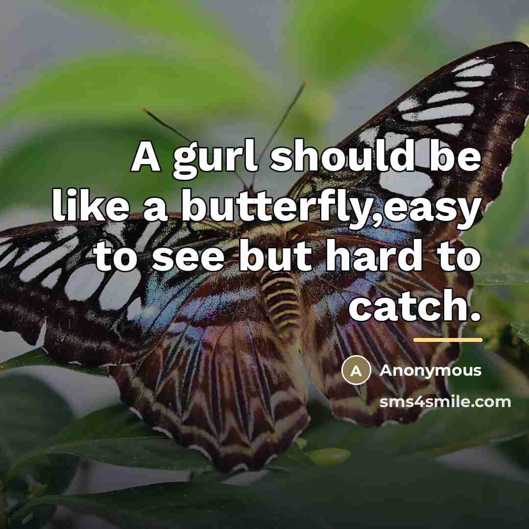 “A gurl should be like a butterfly,easy to see but…” quote by Anonymous