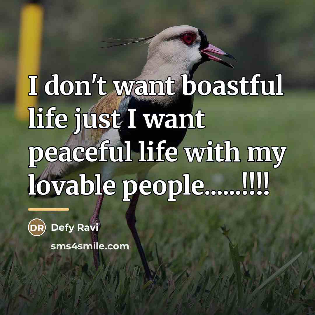 “I don't want boastful life just I want peaceful life…” quote by Defy Ravi