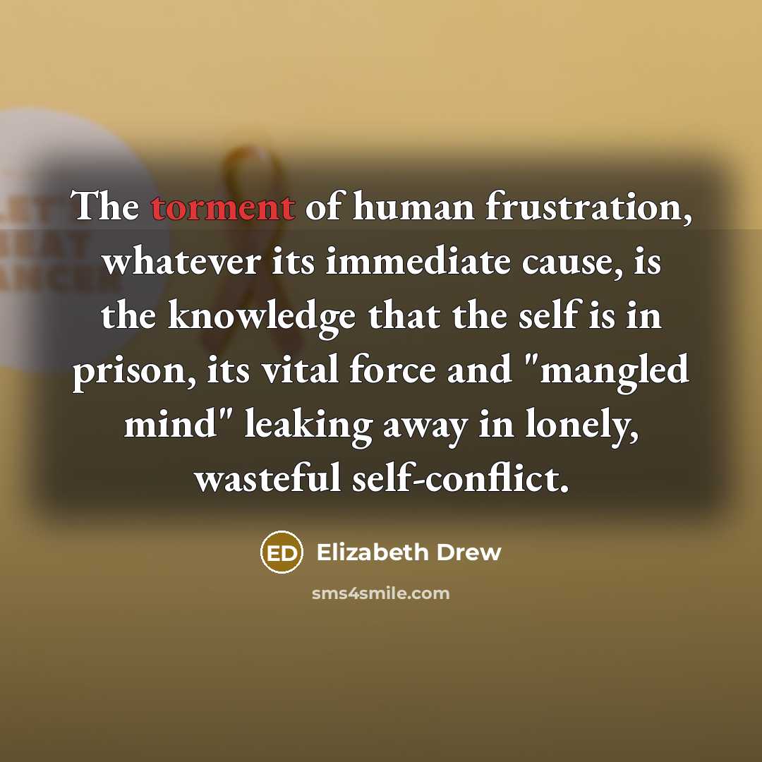 “The torment of human frustration, whatever its immediate cause, is…” quote by Elizabeth Drew