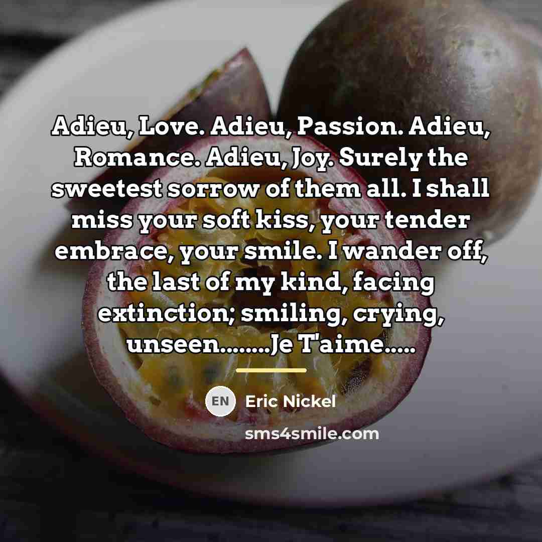“Adieu, Love. Adieu, Passion. Adieu, Romance. Adieu, Joy. Surely the…” quote by Eric Nickel