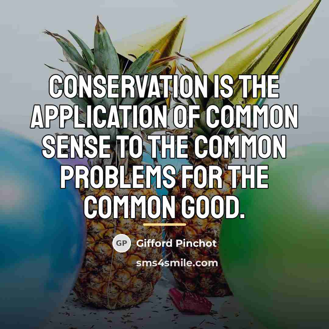 “Conservation is the application of common sense to the common…” quote by Gifford Pinchot