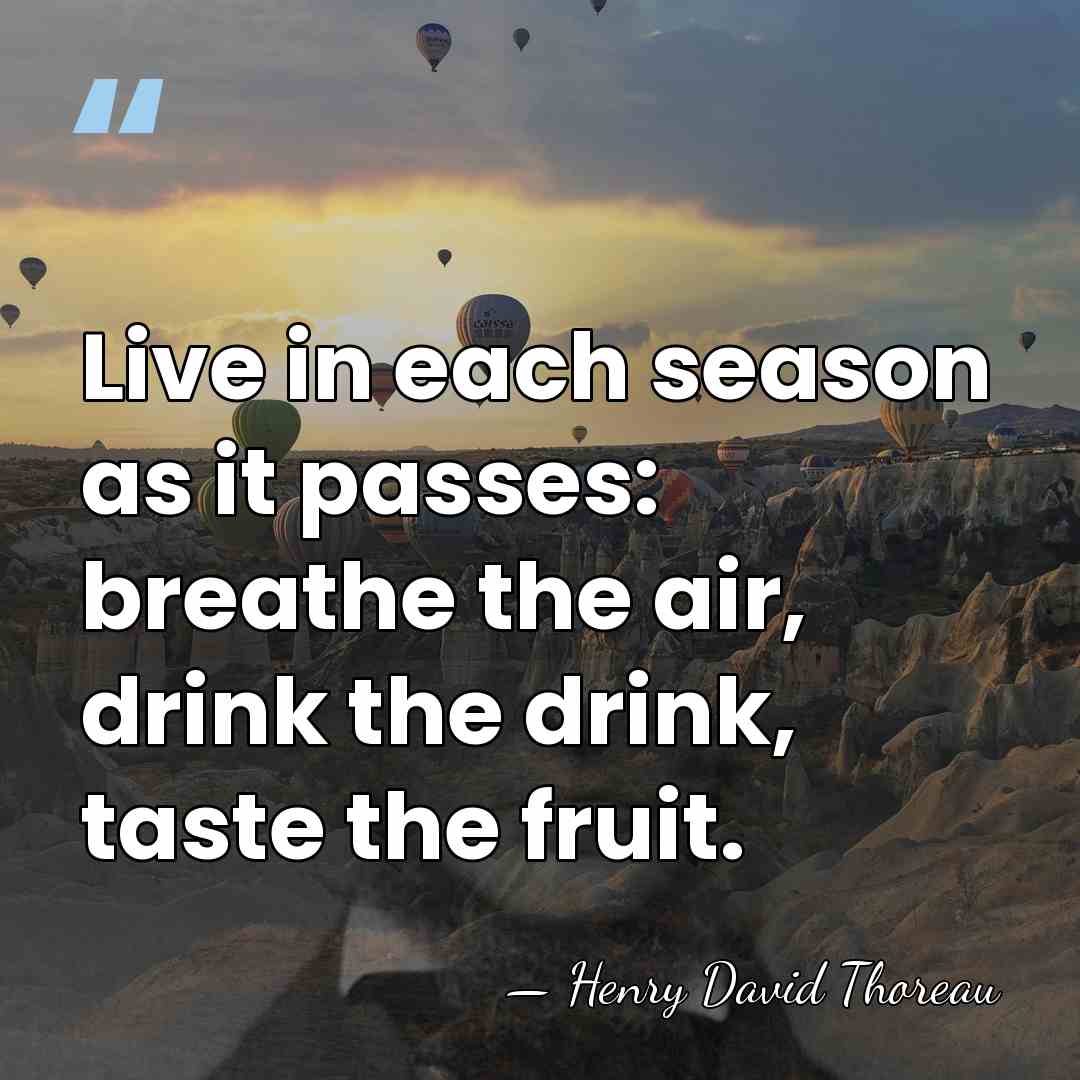 Live in each season as it passes: breathe the air, drink the&hellip; - Henry David Thoreau