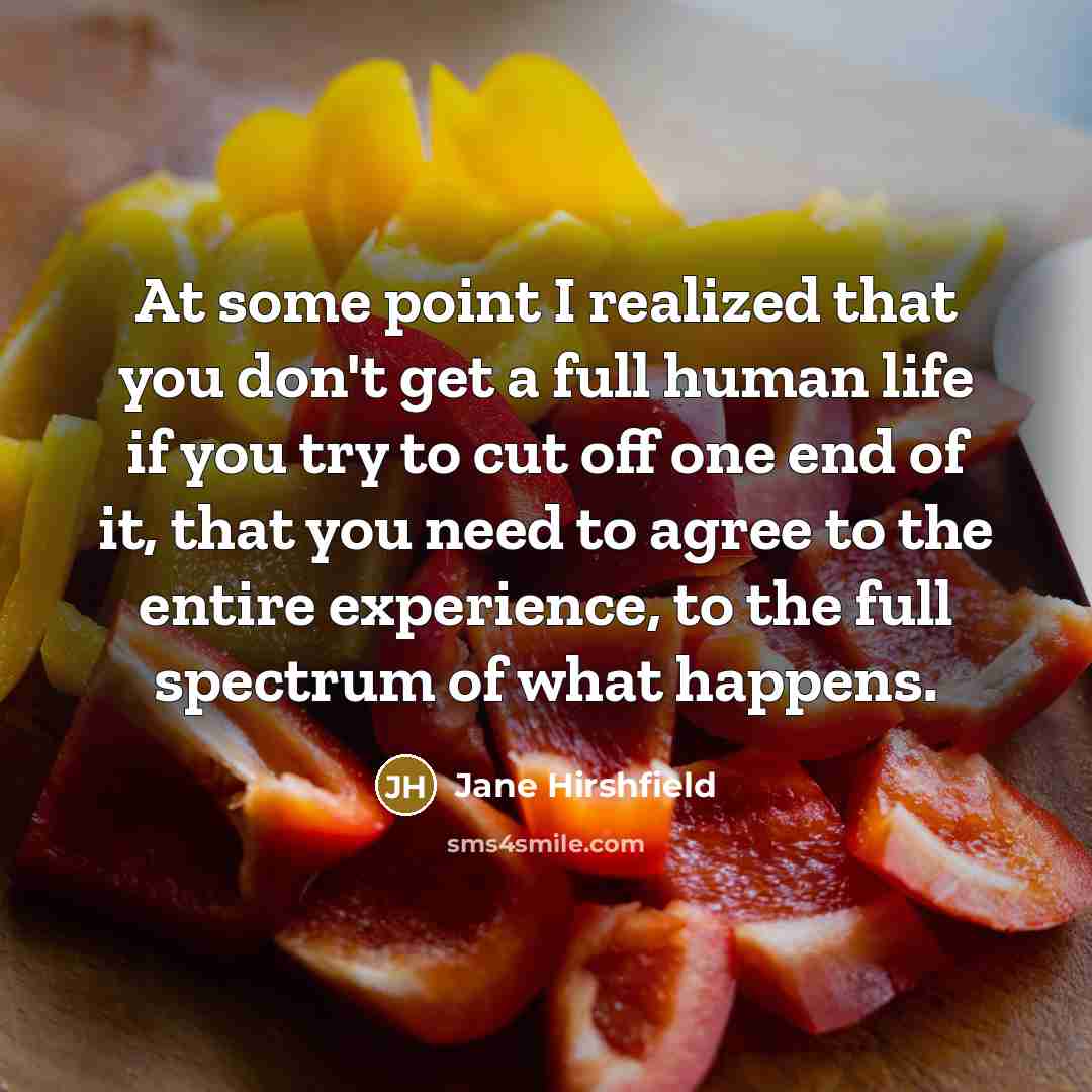 “At some point I realized that you don't get a…” quote by Jane Hirshfield