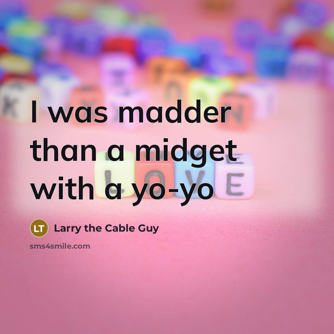 “I was madder than a midget with a yo-yo…” quote by Larry the Cable Guy