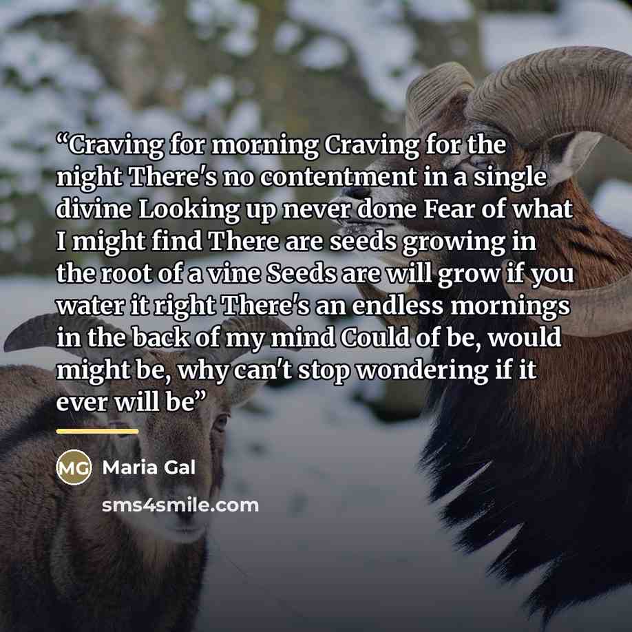 “Craving for morning Craving for the night There's no contentment in a single divine Looking up never done Fear of what I might find There are seeds growing in the root of a vine Seeds are will grow if you water it right There's an endless mornings in the back of my mind Could of be, would might be…” quote by Maria Gal