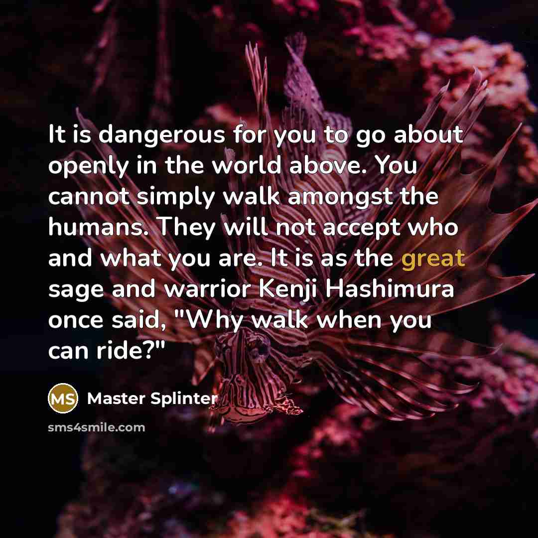 “It is dangerous for you to go about openly in…” quote by Master Splinter