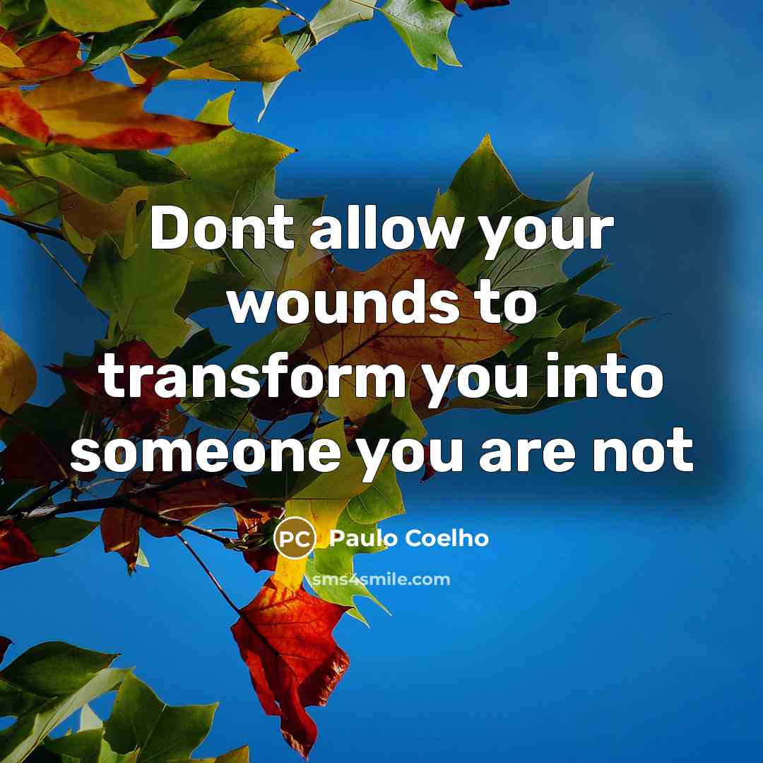 “Dont allow your wounds to transform you into someone you…” quote by Paulo Coelho