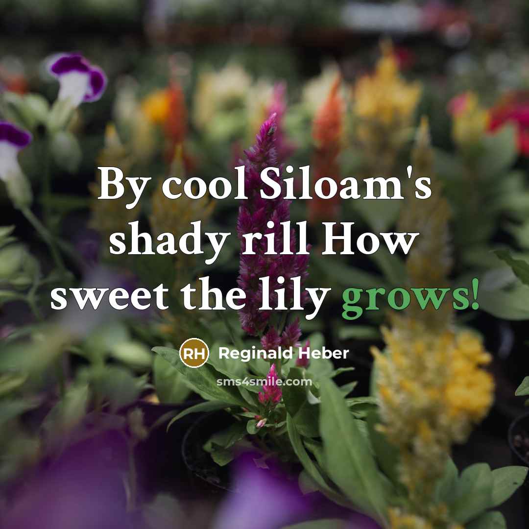 “By cool Siloam's shady rill How sweet the lily grows!” quote by Reginald Heber