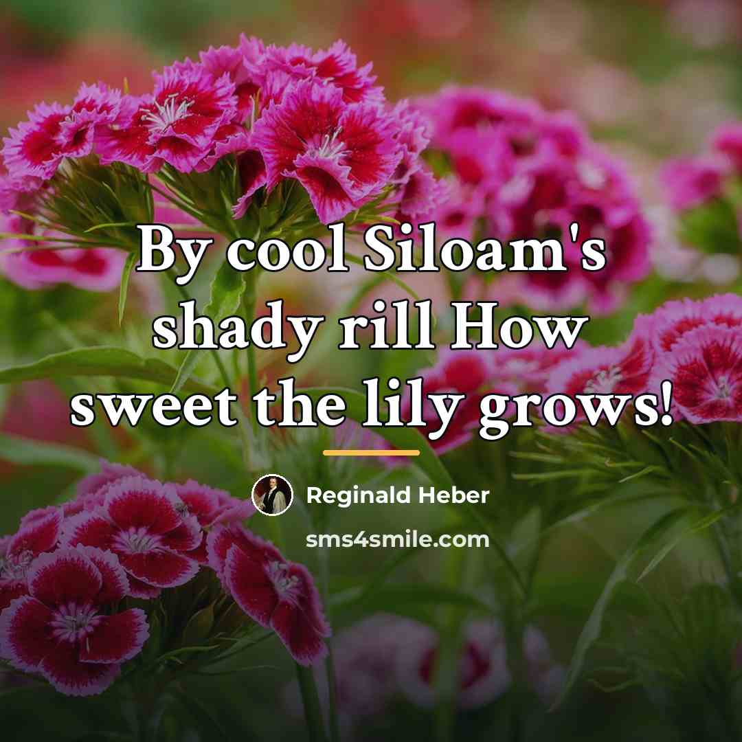 “By cool Siloam's shady rill How sweet the lily grows!…” quote by Reginald Heber