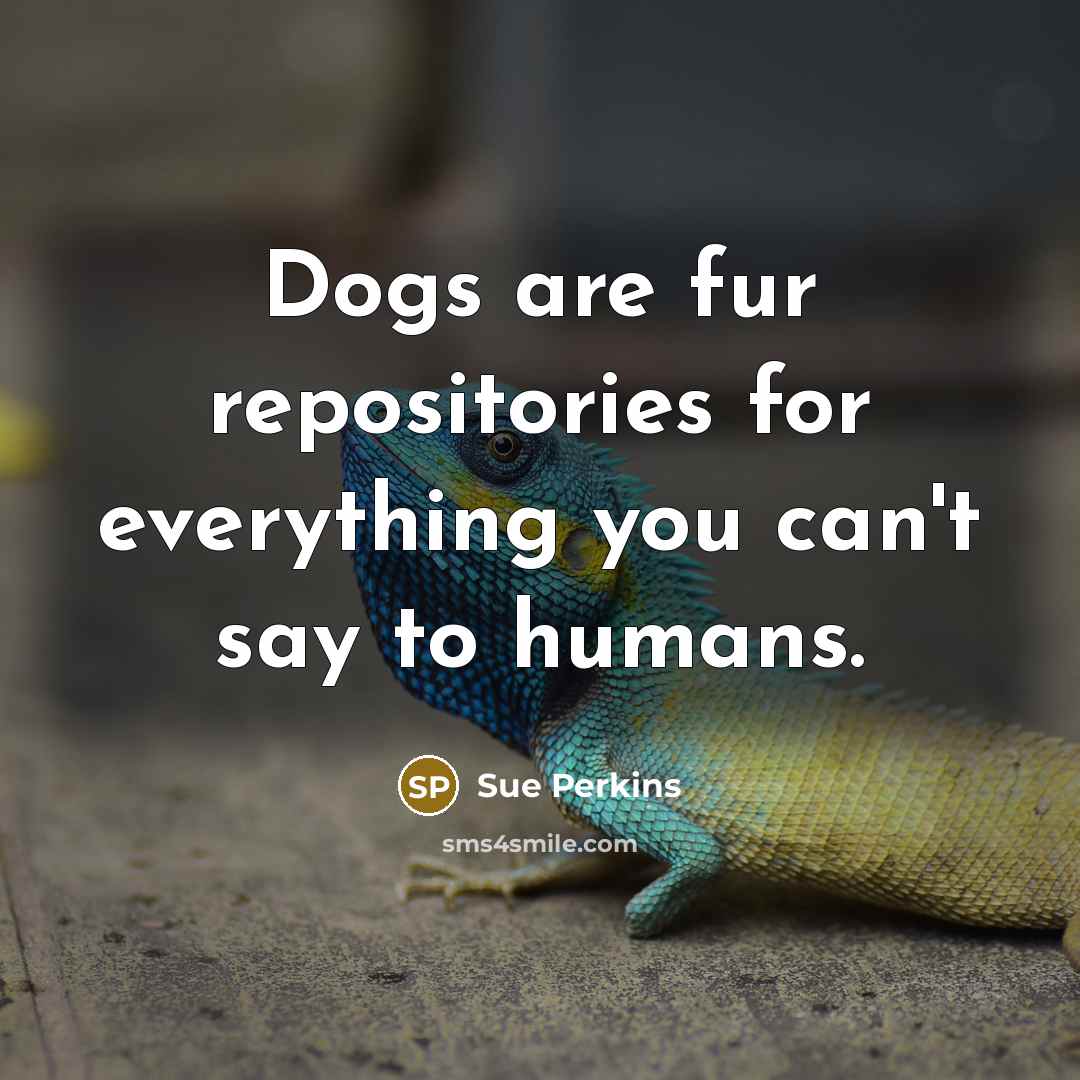 “Dogs are fur repositories for everything you can't say to humans.” quote by Sue Perkins